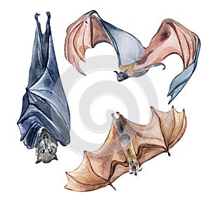 Set of brown and black bats watercolor illustration isolated on white background.