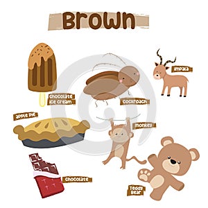 Set of brown color objects. Primary colours flashcard with brown elements. Learning colors for kids.