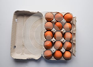 Pack of 15 brown fresh raw chicken eggs in a white carton egg box on a white background top view