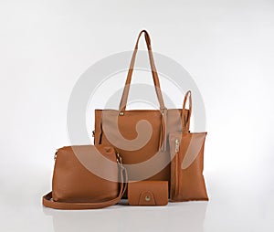 Set of brown leather handbags collection isolated on white
