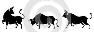 Set Bulls, Cows, Buffaloes. Stylized Silhouettes of Standing in Different Poses, Isolated on White Background
