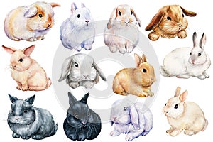 Set of bunnies on an isolated white background, painted with watercolor. Easter rabbits photo