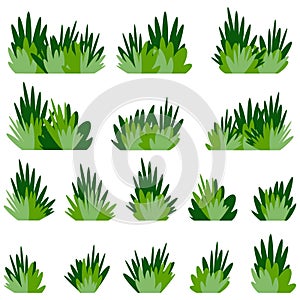 Set Bushes of green grass, Lush bunches of green garden plants. Vector flat cartoon illustration isolated on white