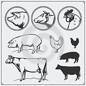 Set of butchery labels and emblems: chicken, pork and beef. Vintage style. Illustration of cow, hen and pig.