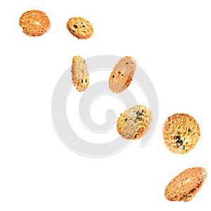 Set of butter cookies with raisins flyingin the air isolated on white background. cookies flying in the air