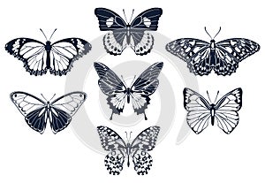 Set of butterflies icon silhouettes. Vector illustration.