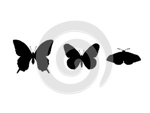 Set butterflies and moth insect black silhouette animal