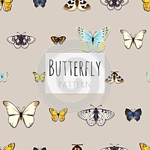 Set of butterflies with space for text