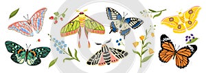 Set of butterflies vector