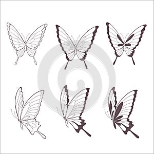 Set of Butterflies. Vector Illustration.