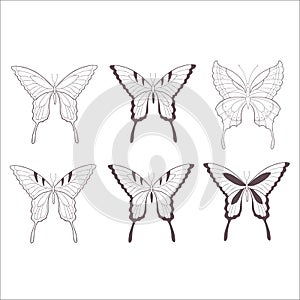 Set of Butterflies. Vector Illustration.