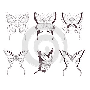 Set of Butterflies. Vector Illustration.