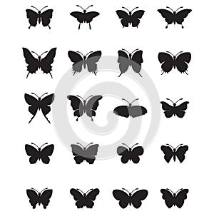 set of butterflies. Vector illustration decorative design