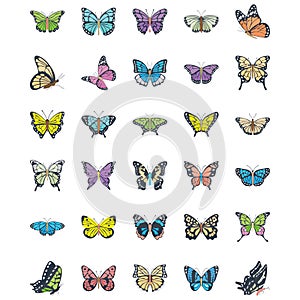 Set of Butterfly Flat Vector Icons
