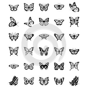 Set of Butterfly Solid Vector Icons