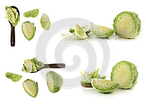 Set of cabbage vegetable