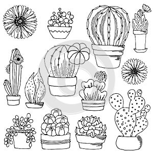 Set cacti and succulents in pots sketch black outline different elements isolated on white background