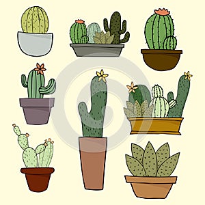 Set of Cactus, Hand drawn cactus, Vector illustration sorts and design