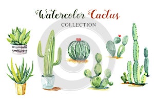 Set cactus hand paint watercolor collection.