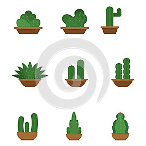 Set of cactus icons