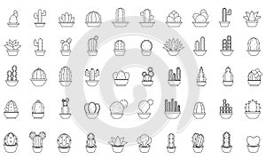 Set of cactus icons