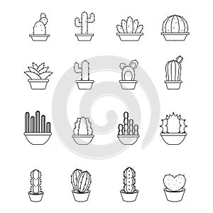 Set of cactus icons