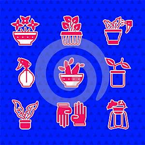 Set Cactus peyote in pot, Rubber gloves, Plant on stand, Water spray bottle, Spraying plant and Flower vase icon. Vector