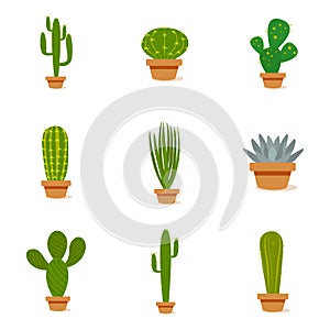 Set of cactus in a potplants
