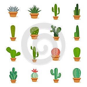 Set of cactus in a potplants