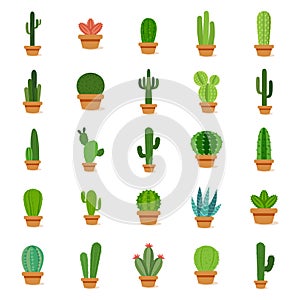 Set of cactus in a potplants