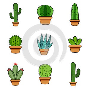 Set of cactus in a potplants