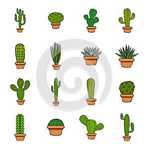 Set of cactus in a potplants