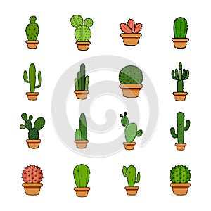 Set of cactus in a potplants