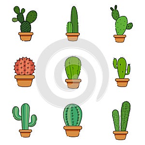 Set of cactus in a potplants