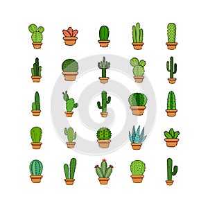 Set of cactus in a potplants