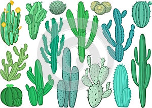 Set of cactus vector illustration