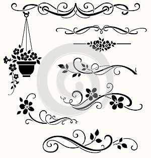 Set of calligraphic floral elements. Vector decorative twigs and flowers