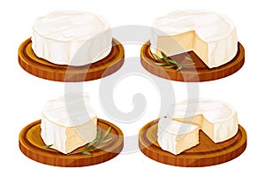 Set Camembert cheese, brie french soft creamy food on wooden tray with rosemary in cartoon style isolated on white