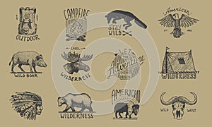 Set of camping labels or badges. Hiking or hunting emblems and outdoor adventure elements collection. Monochrome forest