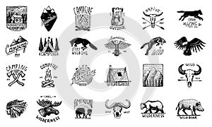Set of camping labels or badges. Hiking or hunting emblems and outdoor adventure elements collection. Monochrome forest