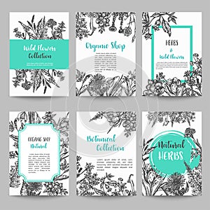 Set of card with hand drawn herbs and wild flowers Vintage collection of plants Floral wedding invitation Vector