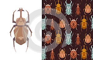 Set of card and seamless pattern with geometric insects on brown background. Vector stylish texture and poster