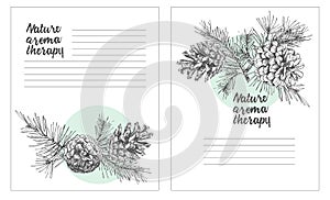 Set card template with pattern realistic botanical ink sketch of fir tree branches with pine cone on white background