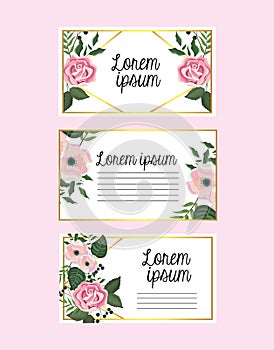 Set cards with flowers and roses with branches leaves