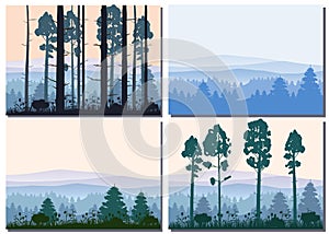 Set cards Forest, silhouettes, trees, pine, fir, nature, environment, horizon, panorama, vector, illustration, isolated