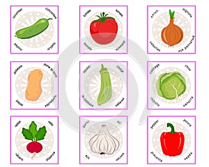 Group of 9 cards with vegetables photo