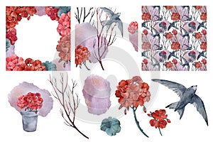 Set of cards and isolated objects with swift birds, tree branches and geranium flowers. Hand painted with watercolor.