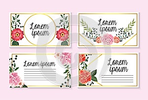 Set cards with roses and flowers with branches leaves