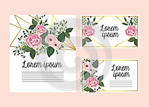 Set cards with roses and flowers plants with branches leaves