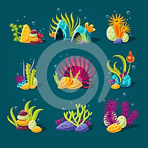 Set of cartoon algae, elements for aquarium